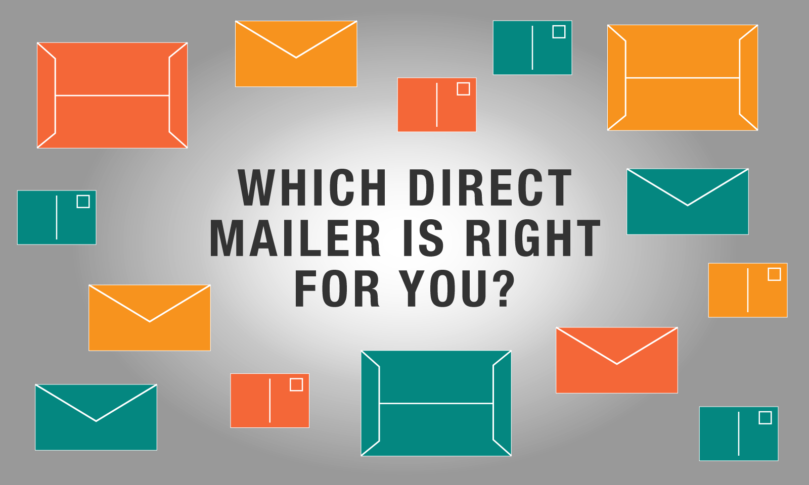 direct mailer options